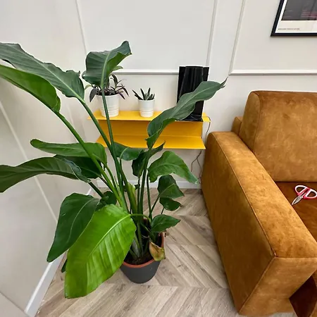 Апартаменты The Arches, Comfortable Design Loft 10 Min From Colosseum Рим